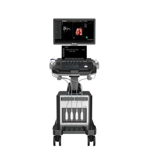 Ультразвуковой сканер сенсорный экран - DW-T30 - Dawei Medical - на платформе / для эхографии в акушерстве и гинекологии / для сердечно-сосудистой эхографии