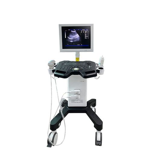 Ультразвуковой сканер переносной, с тележкой - DW-750 - Dawei Medical - для поливалентной эхографии / для эхографии в акушерстве и гинекологии / для костно-мышечной эхографии
