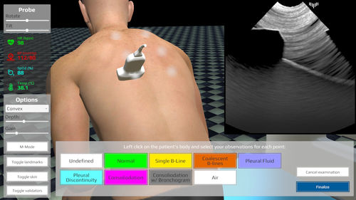 Симулятор пациента для ультразвуковых исследований - LUS - Medical Simulation Technologies - для обслуживания средним медицинским персоналом / для неотложной медицинской помощи / для интенсивной терапии