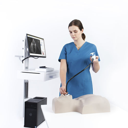 Учебный медицинский симулятор - MrTEEmothy® TEE  - Medical Simulation Technologies - для эхокардиографии / для допплеровской эхографии / для чреспищеводной эхокардиографии