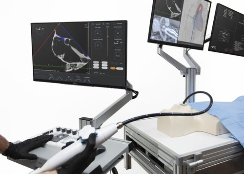 Медицинский симулятор для пункций - Trinity - Medical Simulation Technologies - учебный / анатомический / рабочая станция