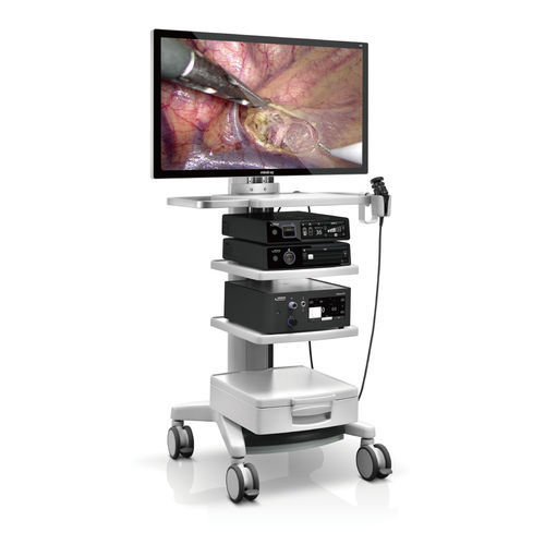 Ветеринарный лапароскоп видео - Vetina CS7 - Shenzhen Mindray Animal Medical Technology Co., Ltd. - для собак / с операционным каналом