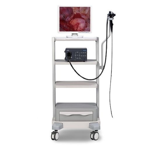 Ветеринарный бронхоскоп видео - Vetina ES3 - Shenzhen Mindray Animal Medical Technology Co., Ltd. - для небольших животных / для крупных животных / с операционным каналом