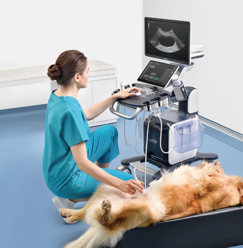 Ветеринарный ультразвуковой сканер на платформе - Vetus 50 - Shenzhen Mindray Animal Medical Technology Co., Ltd. - многоцелевой / для кошек / для собак