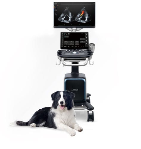 Ветеринарный ультразвуковой сканер на платформе - Vetus 80 - Shenzhen Mindray Animal Medical Technology Co., Ltd. - многоцелевой / для собак / для кошек