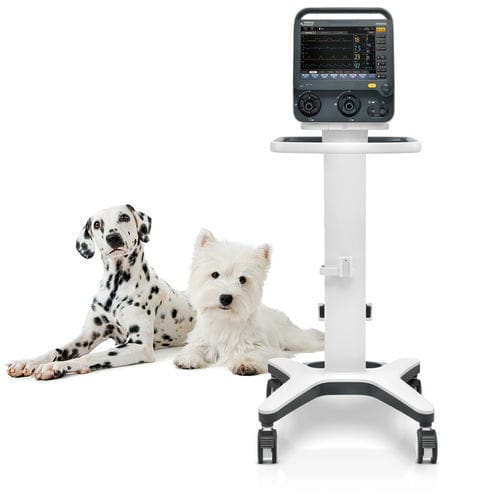 Ветеринарный аппарат ИВЛ - SV300 Vet - Shenzhen Mindray Animal Medical Technology Co., Ltd. - неинвазивный / с несколькими режимами / инвазивный