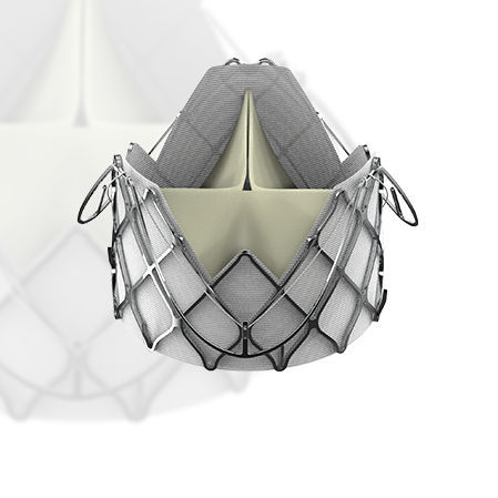 Аортальный биопротез клапана сердца - J-Valve™ - Suzhou Jiecheng Medical Technology - из тканей свиньи / из нитинола / без шва