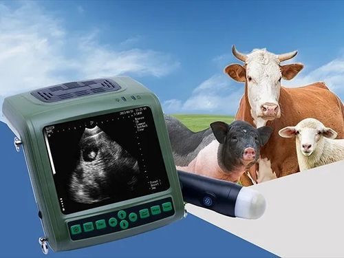 Переносной ветеринарный ультразвуковой сканер - FTL-MSU1Plus - Fatali Medical - многоцелевой / для свиней / для крупного рогатого скота