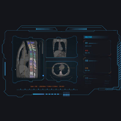 Веб-приложение для визуализации - Dr. Turing® - Huiying Medical Technology (Beijing) Co., Ltd. - для анализа / медицинское / TDM
