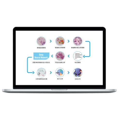 Программное обеспечение для управления - RadCloud®  - Huiying Medical Technology (Beijing) Co., Ltd. - для визуализации / учебное / медицинское