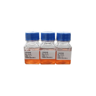 Реактив реакционная среда - SN4001 - Celnovte Biotechnology Co., Ltd. - клинический / цитогенетический / для клеточной культуры