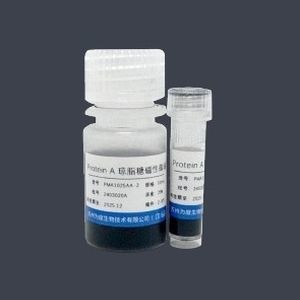 Реактив микросфера - PMA1025AA - VDO Biotech - агарозный гель / для очистки протеинов / для протеинов