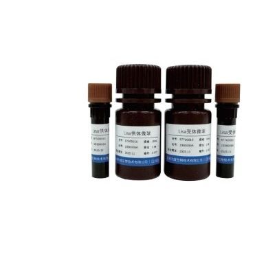 Реактив микросфера - 67500001 - VDO Biotech - для иммуноанализа / жидкость