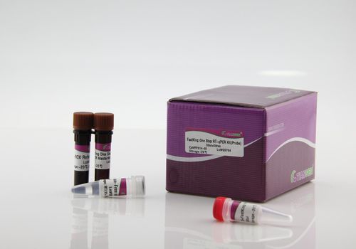 Реактив антитела - FastKing One Step RT-qPCR Kit - Tiangen Biotech - Taq-полимераза / обратная транскриптаза / ингибитор РНКаз