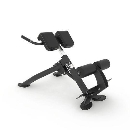 Поясничная силовая скамья - SP-4220 - SPIRIT Fitness