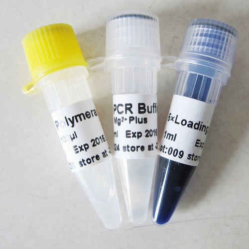 Реактив буферный раствор - P1011 500U  - Guangzhou Dongsheng Biotech Co., Ltd. - фермент / ДНК-полимераза / Taq-полимераза