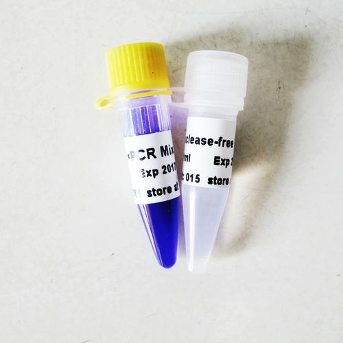 Реактив в растворе - P2011 - Guangzhou Dongsheng Biotech Co., Ltd. - буферный раствор / ДНК-полимераза / Taq-полимераза