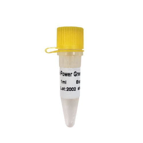 Набор реактивов Taq-полимераза - P2101 - Guangzhou Dongsheng Biotech Co., Ltd. - для PCR