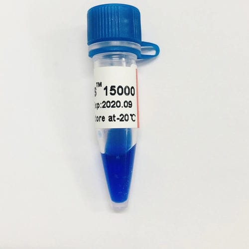 Реактив агарозный гель - LD DS - Guangzhou Dongsheng Biotech Co., Ltd. - краситель / нуклеиновая кислота / для электрофореза