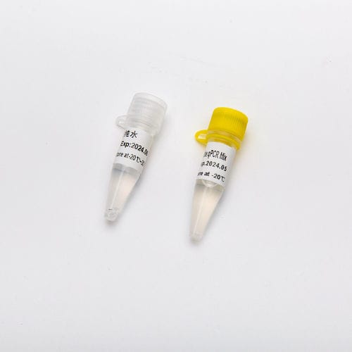 Реактив Taq-полимераза - HS - Guangzhou Dongsheng Biotech Co., Ltd. - для СМЖ в режиме реального времени