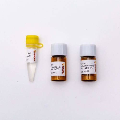 Реактив фермент - DSPath™ - Guangzhou Dongsheng Biotech Co., Ltd. - Taq-полимераза / обратная транскриптаза / ингибитор РНКаз