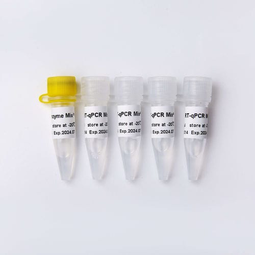 Набор реактивов ДНК-полимераза - V2 - Guangzhou Dongsheng Biotech Co., Ltd. - обратная транскриптаза / для ОТ-ПЦР