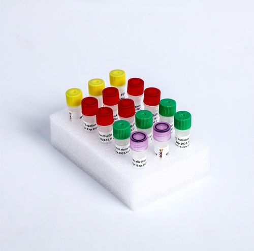 Набор реактивов фермент - K004-A - Guangzhou Dongsheng Biotech Co., Ltd. - ДНК-лигаза / краситель / cеквенирование нового поколения (NGS)