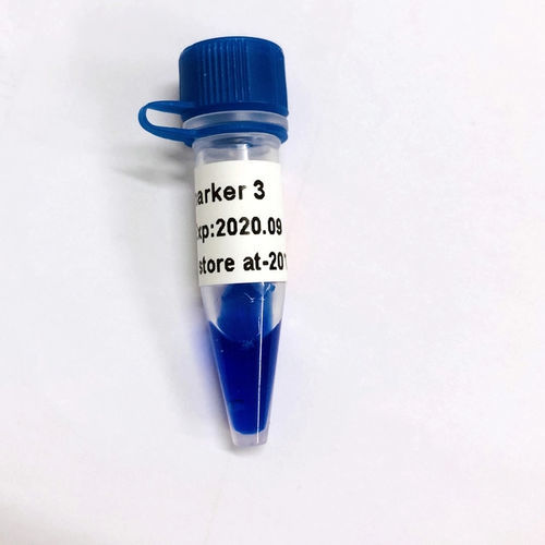 Реактив агарозный гель - LM1041 - Guangzhou Dongsheng Biotech Co., Ltd. - краситель / нуклеиновая кислота / для электрофореза