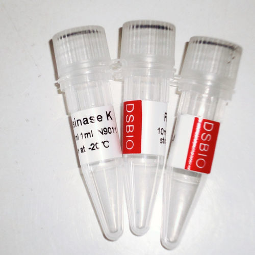 Реактив фермент - N9012 - Guangzhou Dongsheng Biotech Co., Ltd. - протеаз / протеиназа К / для молекулярной биологии