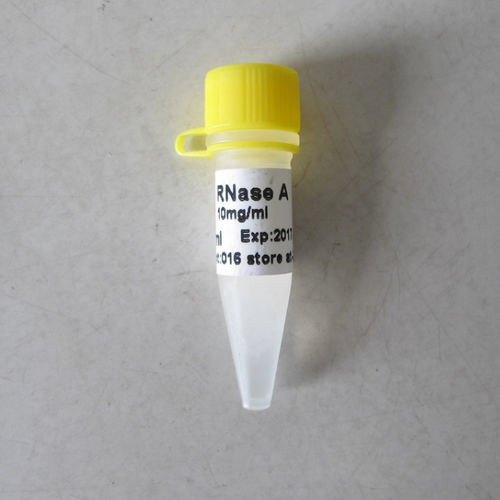 Реактив буферный раствор - N9041 - Guangzhou Dongsheng Biotech Co., Ltd. - фермент / для обнаружения мутаций / для протеинов