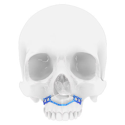 Костная пластина для остеотомии челюстное - Osteophoenix - из титана