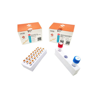 Набор для теста на лептоспироз - BIK-Q-P028 - Biokey Health - для собак / Токсоплазма / цельной крови
