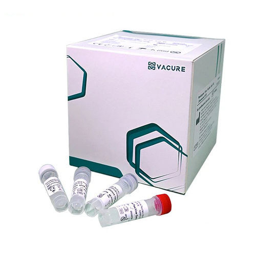 Набор реактивов в растворе - GINMK24 - Chengdu Vacure Biotechnology Co., Ltd - для нуклеиновых кислот / жидкость / свинцовый
