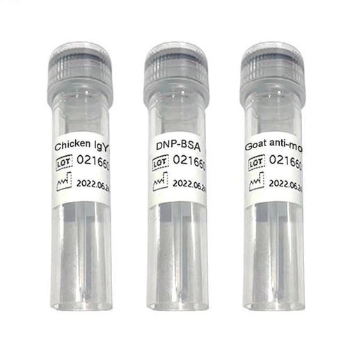 Реактив антитела - C-line - Chengdu Vacure Biotechnology Co., Ltd - антиген / для сердца / IgG