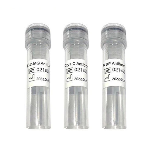 Реактив антитела - Ab1009 series - Chengdu Vacure Biotechnology Co., Ltd - антиген / для сердца / жидкость