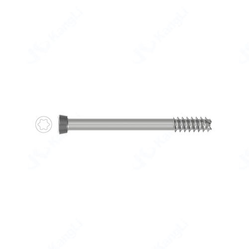 Винтовой имплантат из титана - T48020 - Kangli Medical