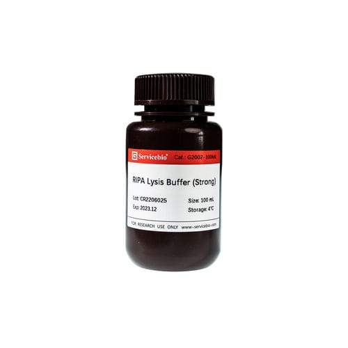 Набор реактивов буферный раствор - G2002-100ML - Servicebio - для экстракции белка