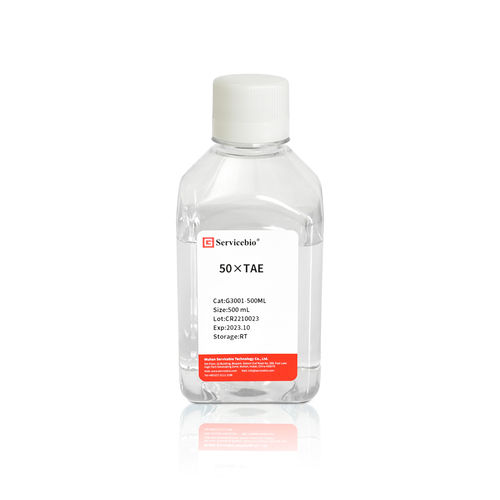 Набор реактивов буферный раствор - G3001-500ML - Servicebio - для электрофореза / жидкость