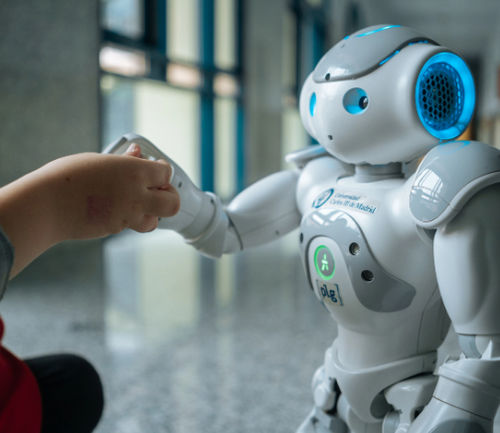 Социальный робот-компаньон - INROBICS SOCIAL ROBOTICS, S.L.L. - человекоподобный / для реабилитационной терапии / с 3D камерой