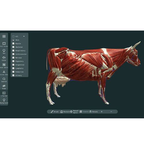 Программное обеспечение для визуализации 3D - MeiWo Science - анатомическое