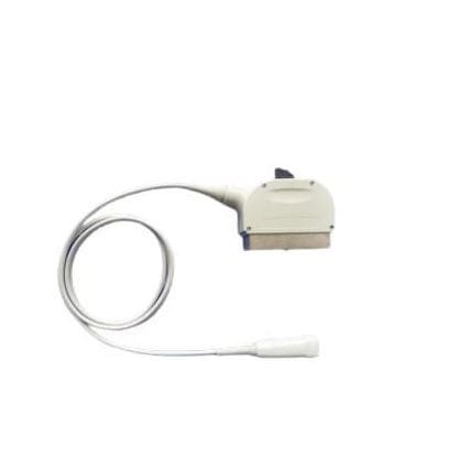 Зонд для эхографии фазированная антенная решетка - 5S  - Compatible Probes - абдоминальный / акушерский/гинекологический / для малых органов
