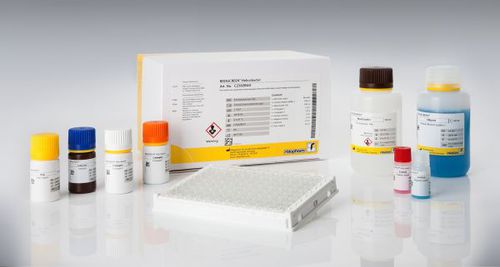 Набор для теста бактерия Helicobacter pylori - RIDASCREEN® - R-Biopharm AG - на желудочно-кишечные заболевания / лабораторный / для кала
