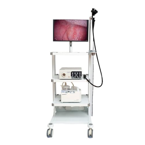 Ветеринарный гастроскоп видео - VET-1508 - Gongjiang Endoscopy Instruments - со встроенным видеомонитором / с операционным каналом