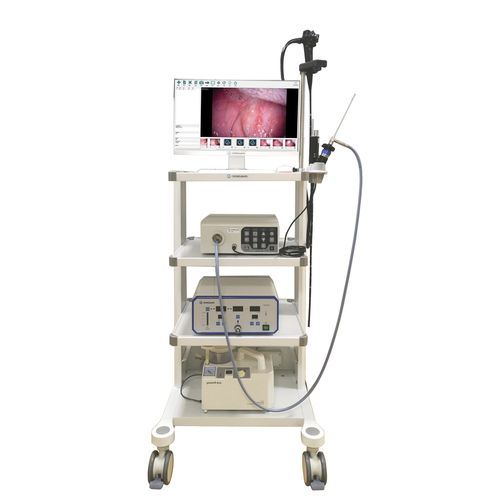 Ветеринарный лапароскоп видео - VET-0305Y - Gongjiang Endoscopy Instruments - со встроенным видеомонитором / с операционным каналом
