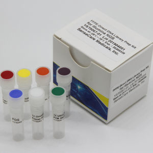 Набор реактивов в растворе - YST0183 series - Guilin Yourui Biotechnology Co., Ltd - cеквенирование нового поколения (NGS) / подготовки банков ДНК