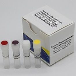 Набор реактивов для метода Сэнгера - YST0014 series - Guilin Yourui Biotechnology Co., Ltd - в растворе / ткани