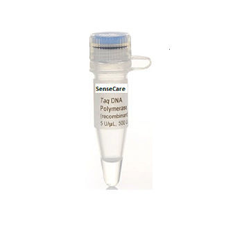 Реактив фермент - YST0001 series - Guilin Yourui Biotechnology Co., Ltd - ДНК-полимераза / Taq-полимераза / для PCR