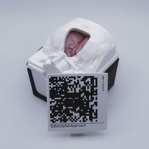Учебный медицинский симулятор - SuboccipitalBox - UpSurgeOn - для хирургии / хирургический / для нейрохирургии