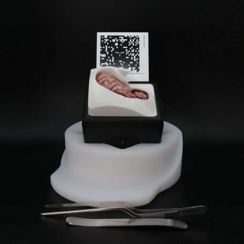 Медицинский симулятор для краниотомии - FluorescentBox - UpSurgeOn - хирургический / в комплекте / на основе дополненной реальности