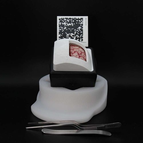 Учебный медицинский симулятор - BrainTumorBox - UpSurgeOn - для оказания общей помощи / анатомический